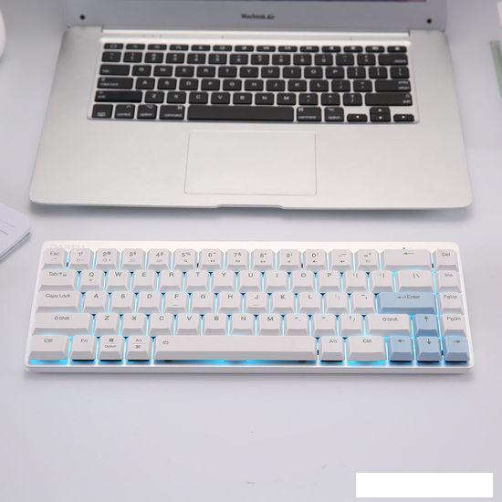 Клавиатура Dareu EK868 (Kaihl Brown switch, White-Blue) - фото 5 - id-p225557958