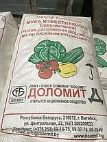Доломитовая мука 30 кг. РБ (мука известняковая), фото 3