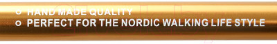 Палки для скандинавской ходьбы Kaiser Sport Nordic Walking / SL-2B-2-135-G - фото 5 - id-p225788177