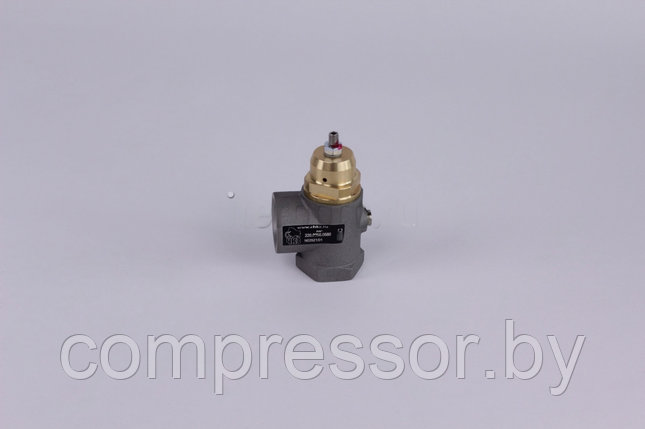 Клапан минимального давления G10-3/4" 220.0050, фото 2