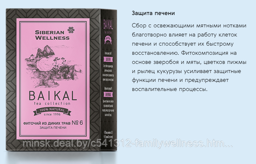 Фиточай из диких трав № 6 (Защита печени) - Baikal Tea Collection - фото 2 - id-p225791303