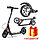 116D Самокат городской с ручным тормозом, Scooter Urban Disk, фото 2