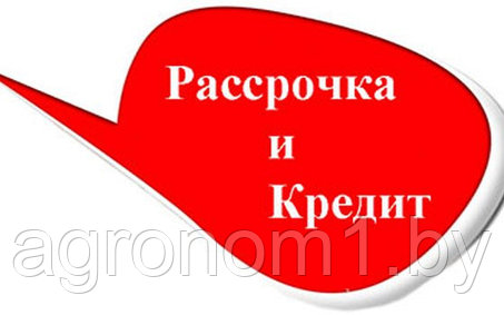 Рассрочка/кредит