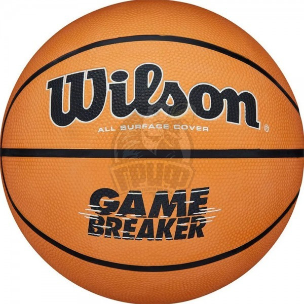 Мяч баскетбольный детский любительский Wilson Game Breaker Indoor/Outdoor №5 (арт. WTB0050XB5) - фото 1 - id-p225827672