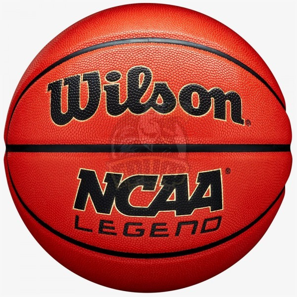 Мяч баскетбольный детский тренировочный Wilson NCAA Legend Indoor/Outdoor №5 (арт. WZ2007601XB5) - фото 1 - id-p225827676