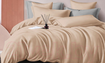 Комплект постельного белья LUXOR №14-1213 TPG 2.0 с европростыней (поджаренный миндаль, сатин) - фото 1 - id-p225870106