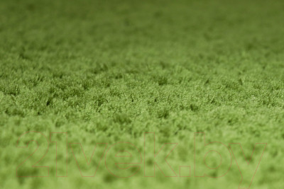 Ковер Витебские ковры Микрофибра прямоугольник 11000-20 (2х3) - фото 1 - id-p225846977