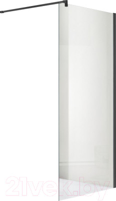 Душевая стенка Adema Реген 100 Walk-In (черный) - фото 1 - id-p225845011