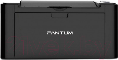Принтер Pantum P2500W - фото 1 - id-p225849997