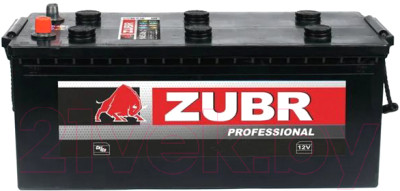 Автомобильный аккумулятор Zubr Professional R+ (190 А/ч) - фото 1 - id-p225840990