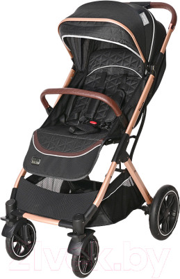 Детская прогулочная коляска Lorelli Storm Luxe Black / 10021692384 - фото 1 - id-p225849150