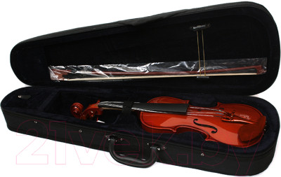 Скрипка Aileen VG-200 4/4 со смычком в футляре (натуральная) - фото 1 - id-p225897047