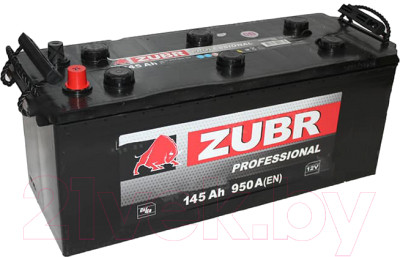 Автомобильный аккумулятор Zubr Professional R+ (145 А/ч) - фото 1 - id-p225844159