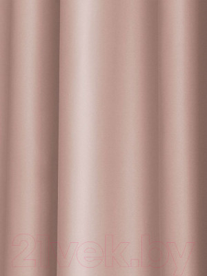 Шторы Pasionaria Блэквуд 400x270 (розовый) - фото 1 - id-p225862370