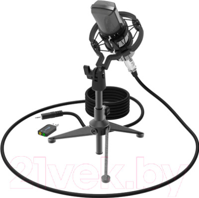 Микрофон Ritmix RDM-160 (черный) - фото 1 - id-p225879373