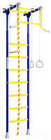 Детский спортивный комплекс Romana R2 01.20.7.06.490.02.00-11 (синяя слива)