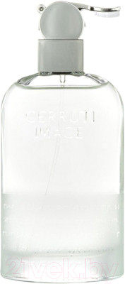 Туалетная вода Cerruti Image Pour Homme (100мл) - фото 1 - id-p225870473