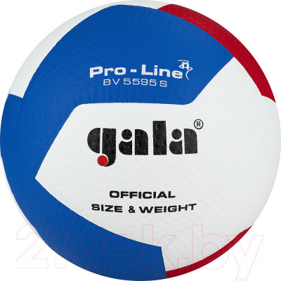 Мяч волейбольный Torres Gala Pro-Line 12 / BV5595SA (размер 5) - фото 1 - id-p225858461