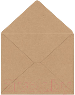 Набор конвертов почтовых Ряжская печатная фабрика С3 / ш/к-1036 (300шт) - фото 1 - id-p225861535