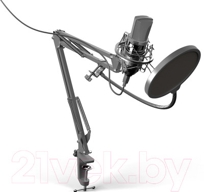Микрофон Ritmix RDM-169 (черный) - фото 1 - id-p225878615