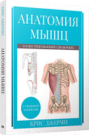 Книга Попурри Анатомия мышц: иллюстрированный справочник / 9789851554719 (Джерми К.)