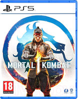Игра для игровой консоли PlayStation 5 Mortal Kombat 1 (EU pack, RU subtitles)