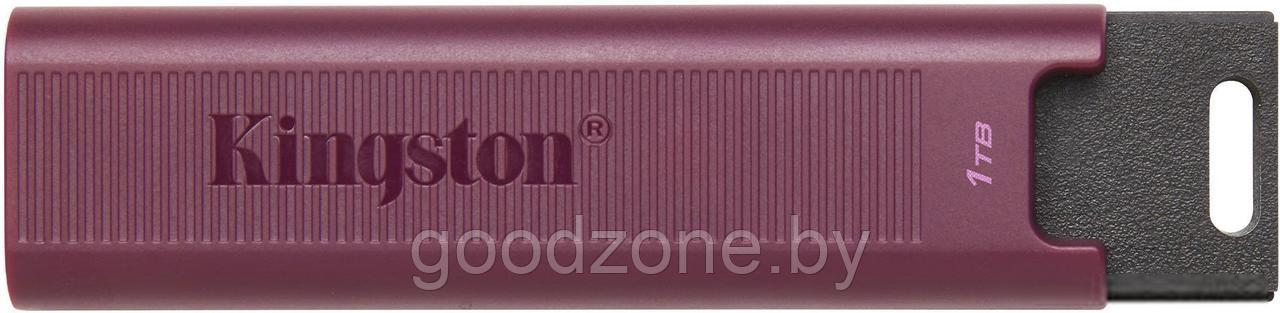 USB Flash Kingston DataTraveler Max Type-A 1TB - фото 1 - id-p225912281