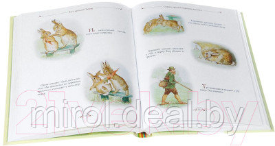 Книга Росмэн Все о кролике Питере - фото 6 - id-p225916338