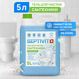 Универсальное чистящее средство Septivit Гель для чистки сантехники, фото 2