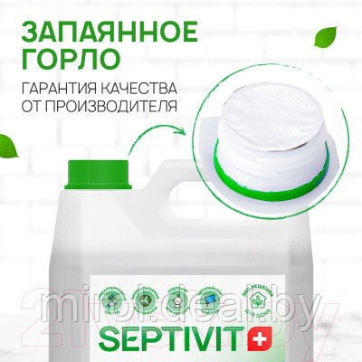 Универсальное чистящее средство Septivit Гель для чистки сантехники - фото 8 - id-p225916538