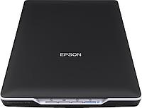 Сканер Epson Perfection V19