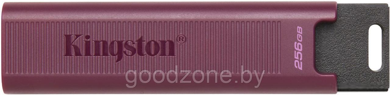 USB Flash Kingston DataTraveler Max Type-A 256GB - фото 1 - id-p225907901