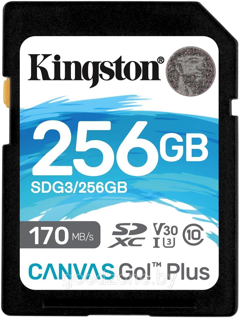 Карта памяти Kingston Canvas Go! Plus SDXC 256GB - фото 1 - id-p225907912