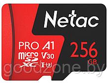 Карта памяти Netac 256GB 500 Extreme Pro NT02P500PRO-256G-R (с адаптером)