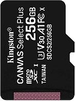 Карта памяти Kingston Canvas Go! Plus microSDXC 256GB