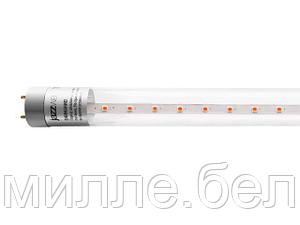 Лампа PLED T8-600 8 Вт для растений AGRO G13 CL JAZZWAY (для растений, цвет свечения: красный 650 нм, синий