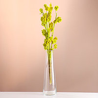 Набор сухоцветов "Солодка", банч 3 шт, длина 50 (+/- 6 см), ярко-желтый