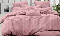 Комплект постельного белья LUXOR Полоса 1x1 14-1907 2.0 с европростыней