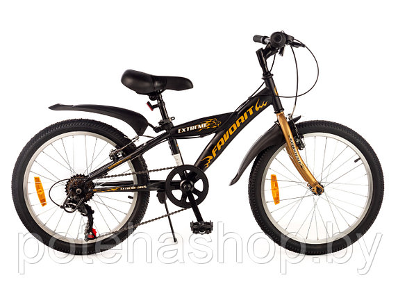 Двухколесный велосипед FAVORIT, модель EXTREME-20VS, EXT20V10GD, фото 2