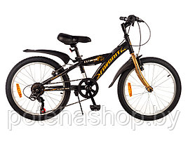 Двухколесный велосипед FAVORIT, модель EXTREME-20VS, EXT20V10GD