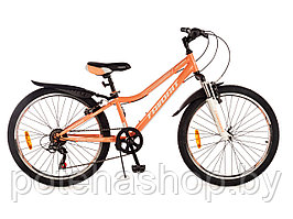 Двухколесный велосипед FAVORIT, модель VICTORIA-24VS, VIC24V12PN