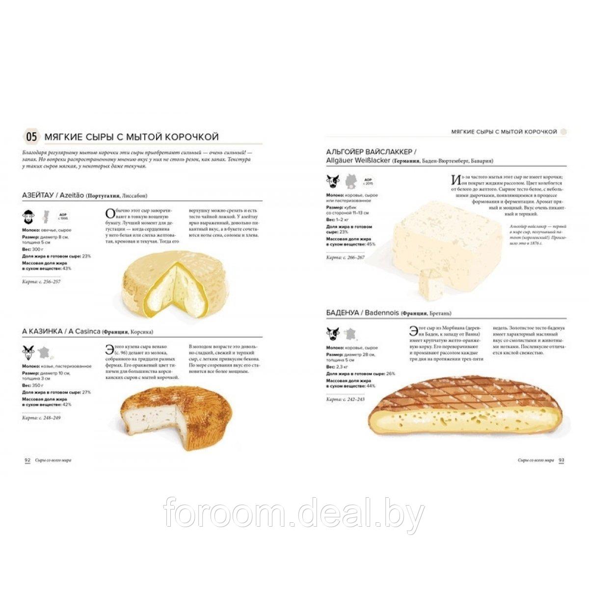 Мх.Сырный атлас гурмана. Скажите "CHEESE!" - фото 2 - id-p225947052