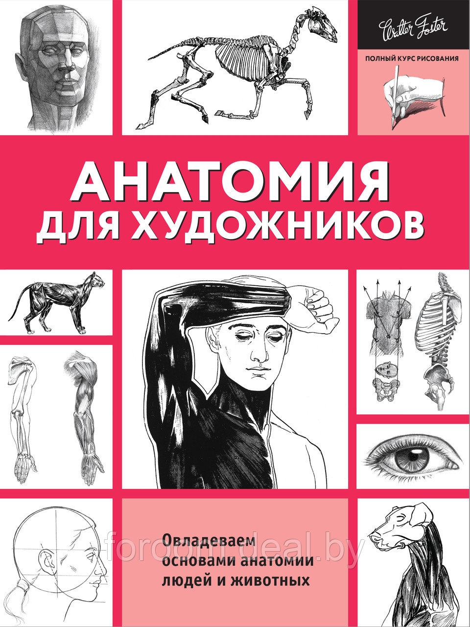 Анатомия для художников - фото 1 - id-p225946354