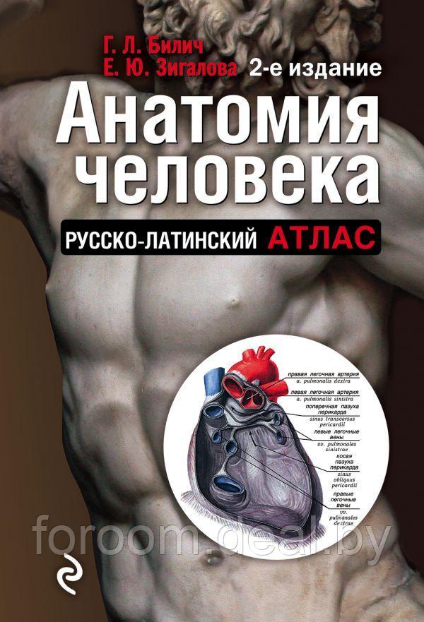 Эксмо Анатомия человека: Русско-латинский атлас. 2-е издание - фото 1 - id-p225946425