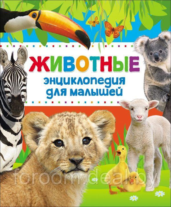 Энциклопедия для малышей. Животные - фото 1 - id-p225945541
