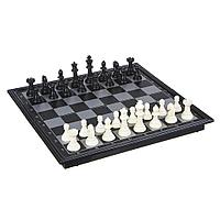 Шахматы магнитные LDGames "Черное и белое"