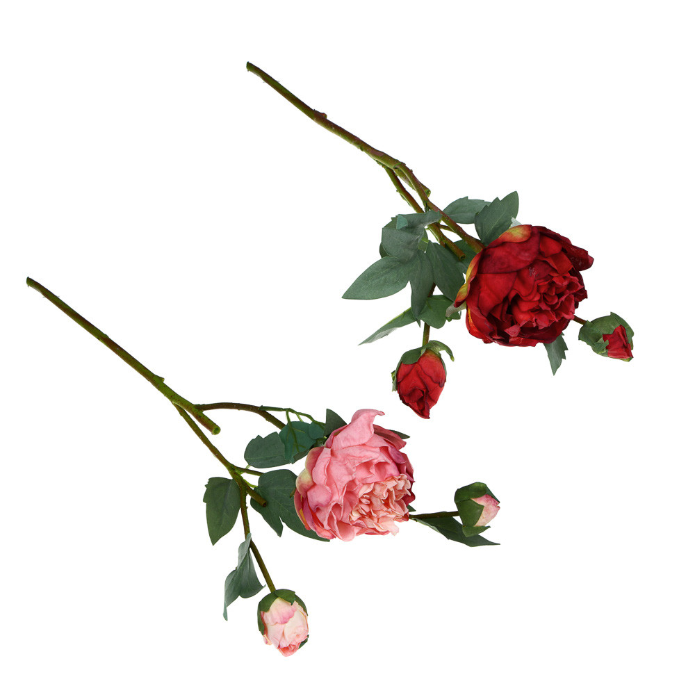 LADECOR Цветок декоративный в виде пионов, пластик, 60 см, 2 цвета