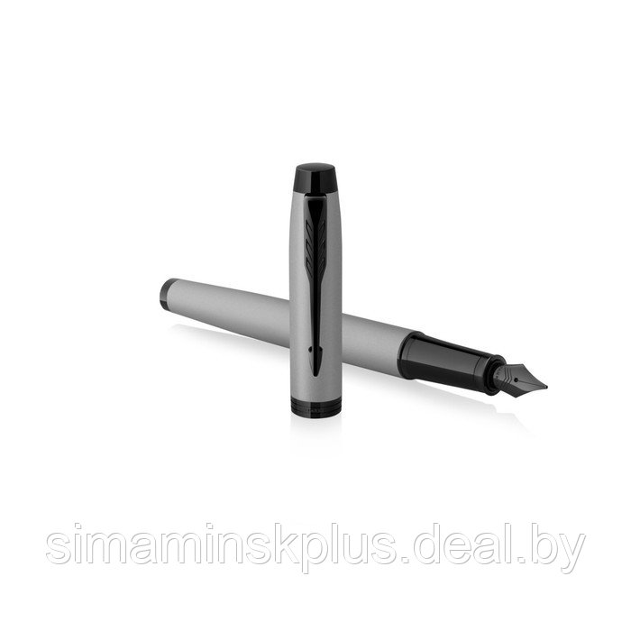 Ручка перьевая Parker IM Achromatic Matt Grey BT F, 0.8 мм, корпус из нержавеющей стали, синие чернила - фото 5 - id-p225957903