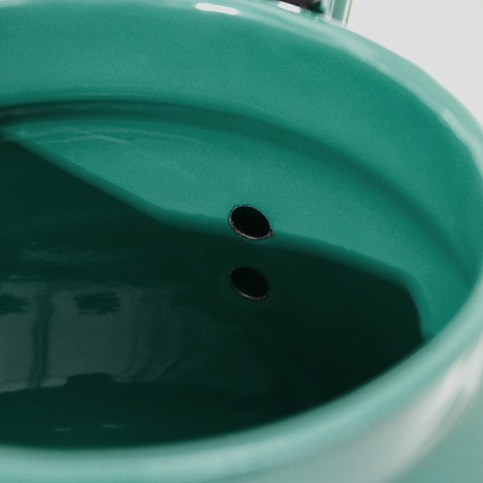Чайник, 3,5 л, с декором МИКС, индукция, цвет бирюзовый - фото 4 - id-p225963118