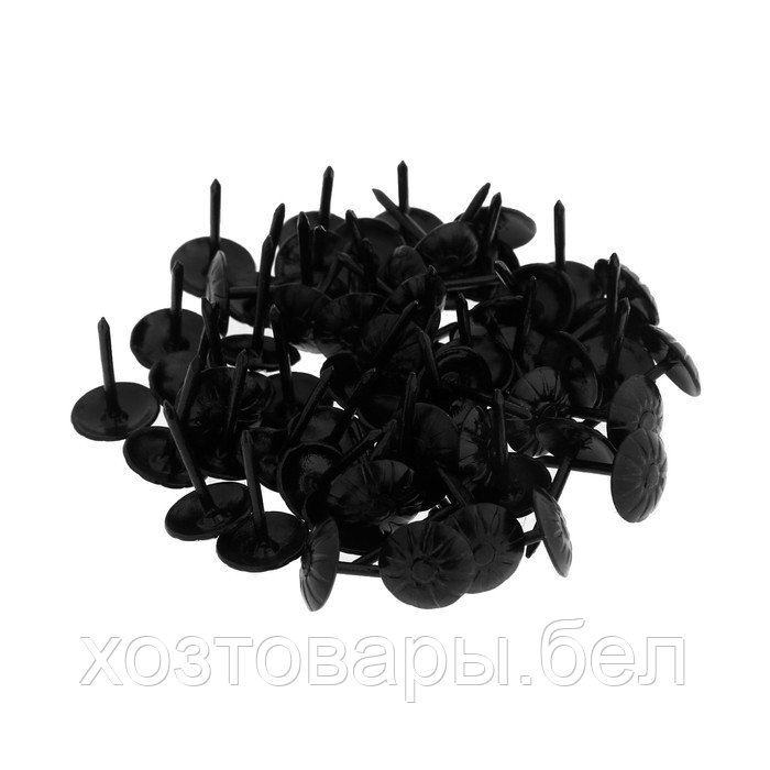 Гвозди декоративные 11х16 мм, черные, 100 шт фактурные - фото 1 - id-p225963387
